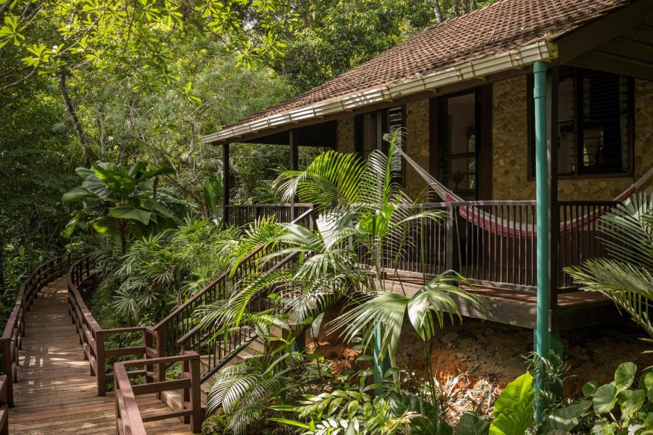 Sweet Songs Jungle Lodge San Ignacio Zewnętrze zdjęcie