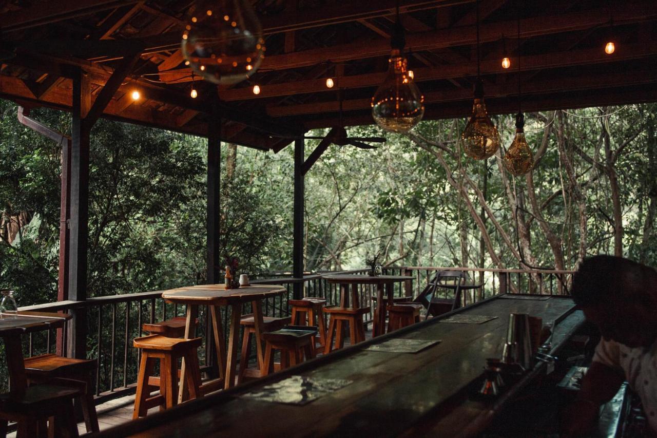 Sweet Songs Jungle Lodge San Ignacio Zewnętrze zdjęcie