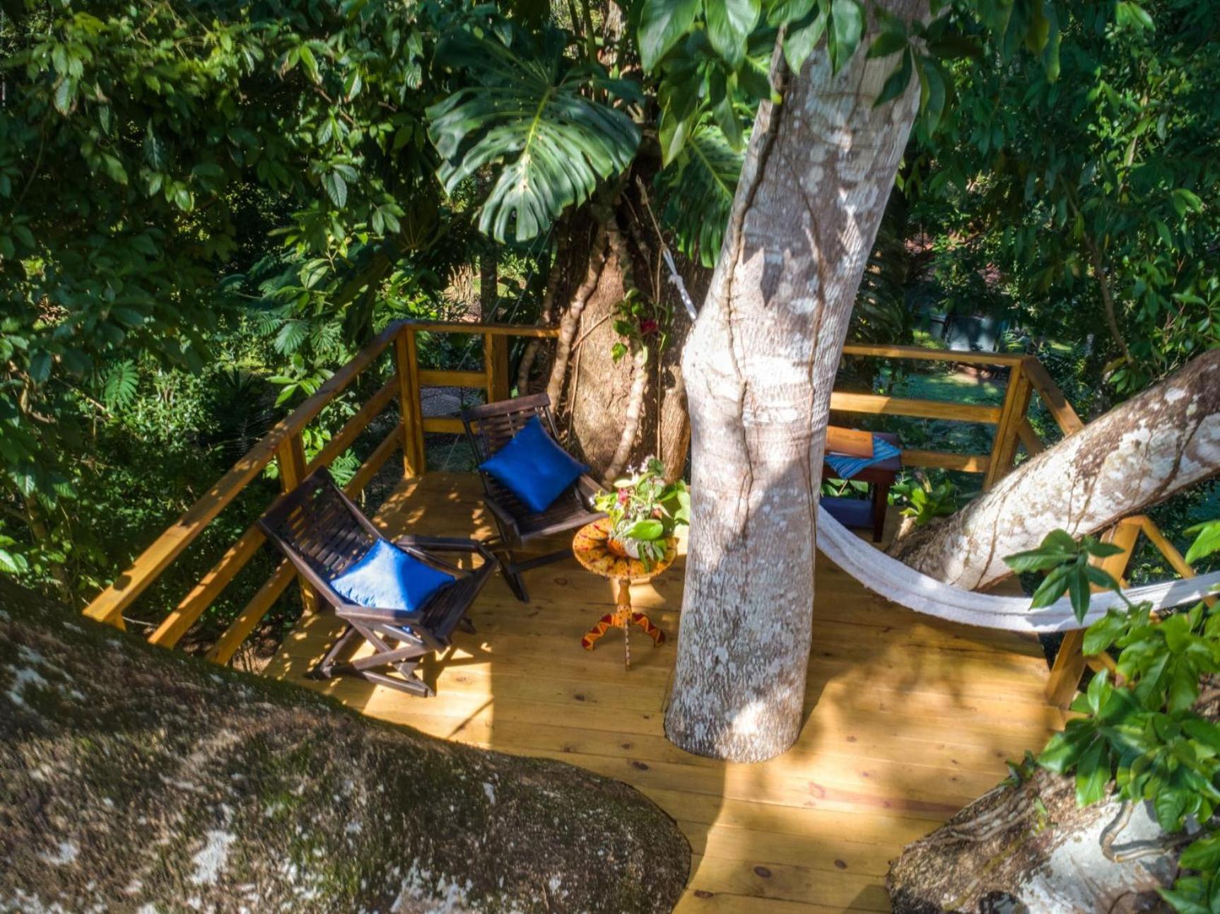 Sweet Songs Jungle Lodge San Ignacio Zewnętrze zdjęcie
