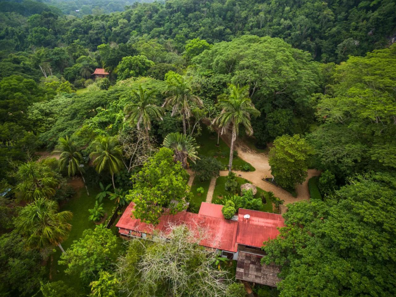 Sweet Songs Jungle Lodge San Ignacio Zewnętrze zdjęcie