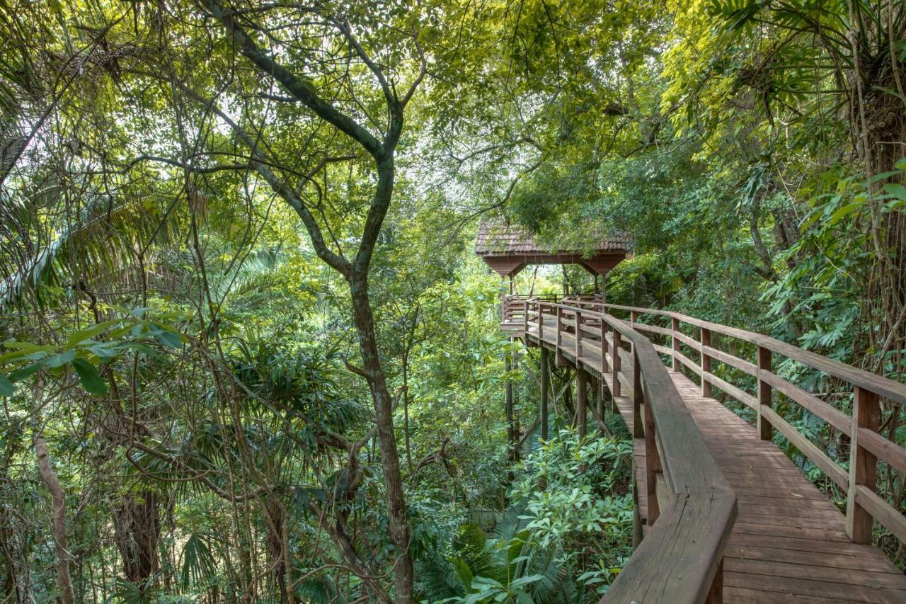 Sweet Songs Jungle Lodge San Ignacio Zewnętrze zdjęcie