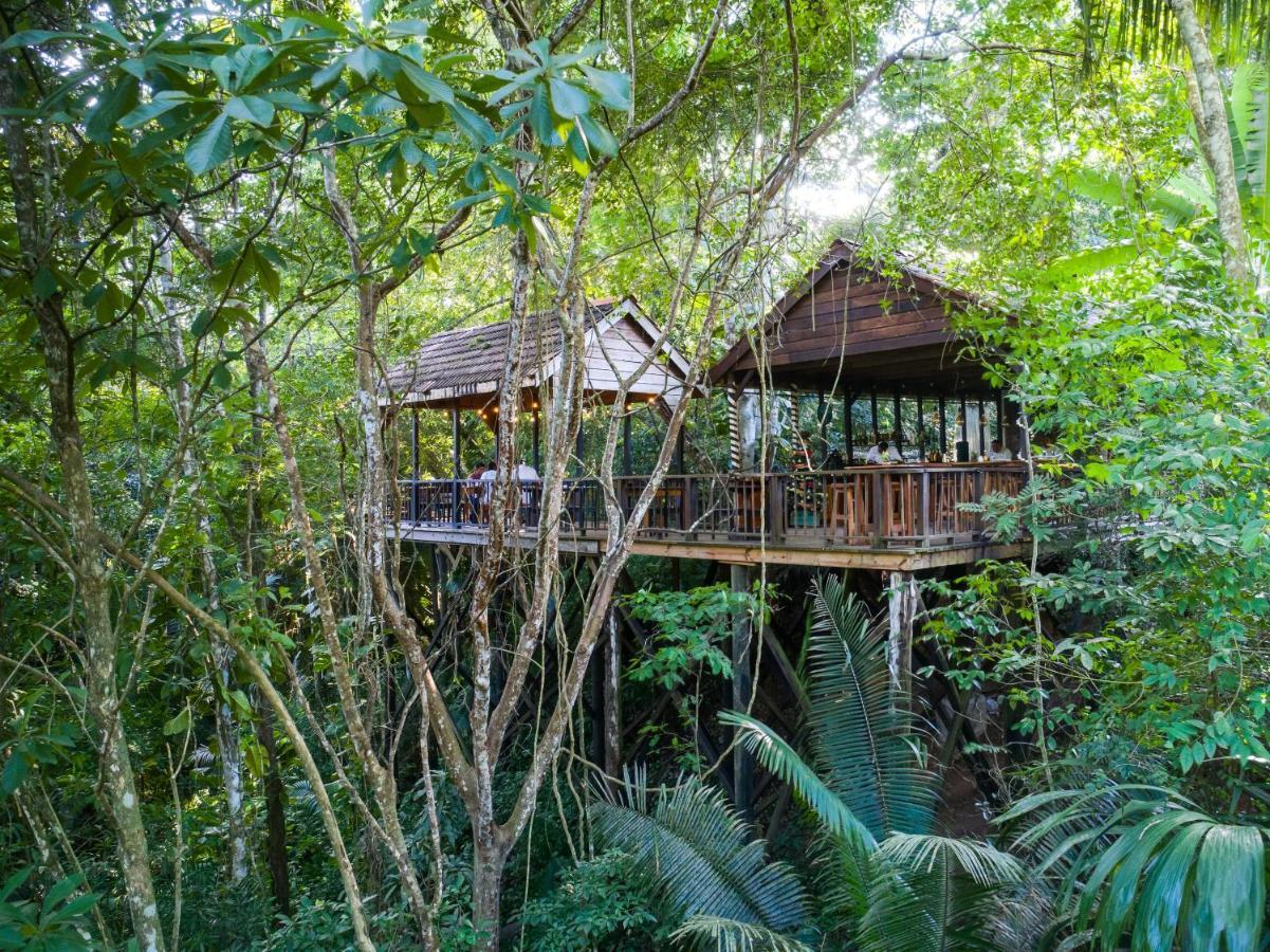 Sweet Songs Jungle Lodge San Ignacio Zewnętrze zdjęcie